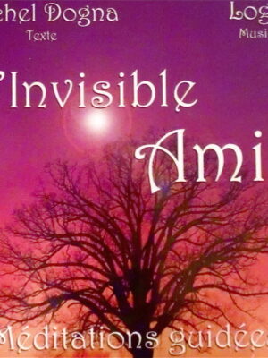 L'Invisible Ami