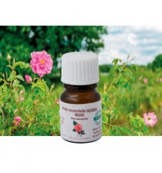 Damask Rose - Essential Oil