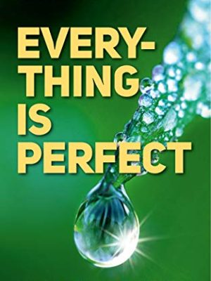 Everything Is Perfect: Why Do We Not See It